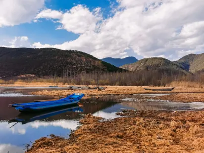 كاسيلاندو كازينو تطبيق الهاتف المحمول